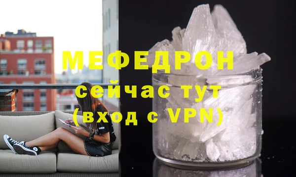 сатива Няндома
