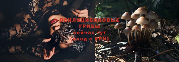 spice Балахна