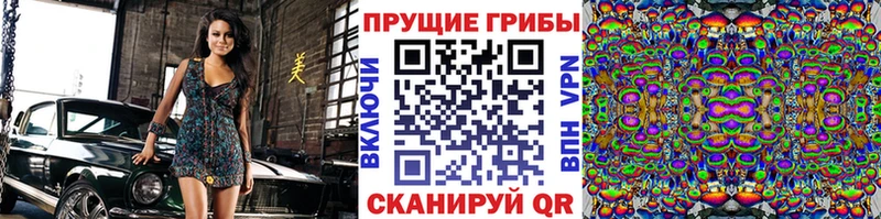Галлюциногенные грибы Psilocybine cubensis  Великий Устюг 